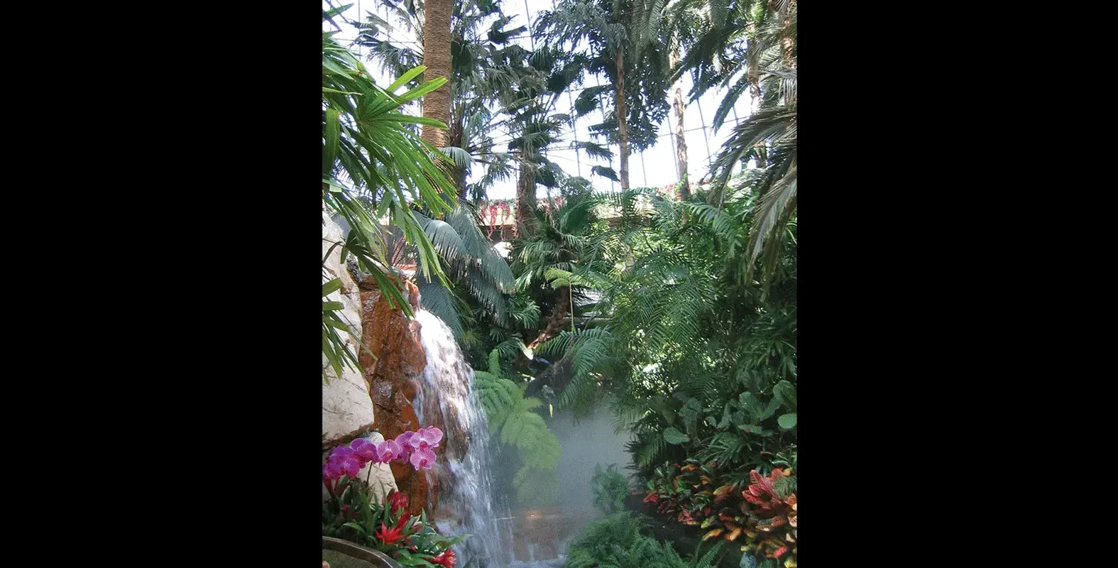 The Mirage